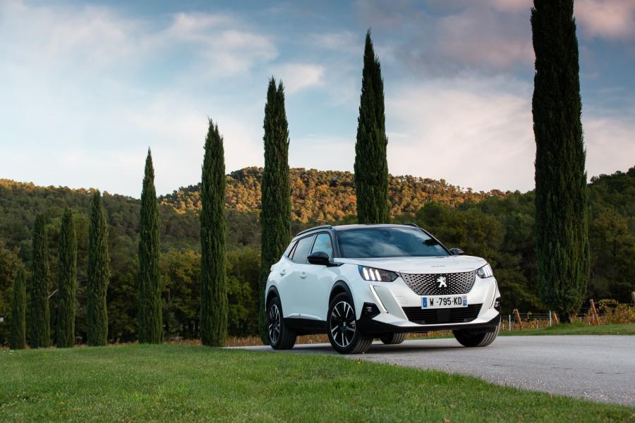  Peugeot e-2008 GT (Digital White) 2019 года  (WW) (фото 25 из 119)